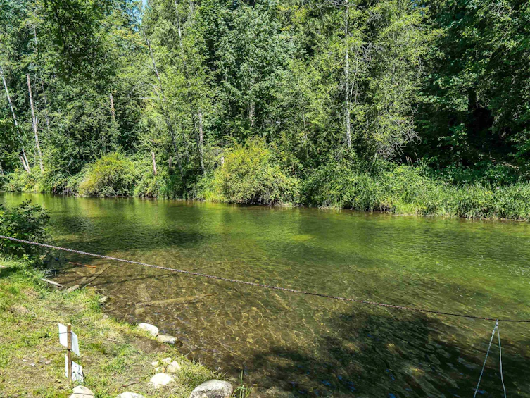 23463 Dogwood Avenue, Maple Ridge, BC, V2X 4S4 - 23