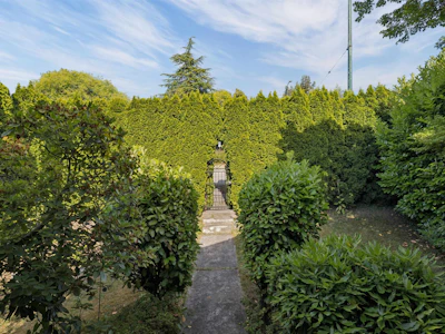 3707 Arbutus Street - 3
