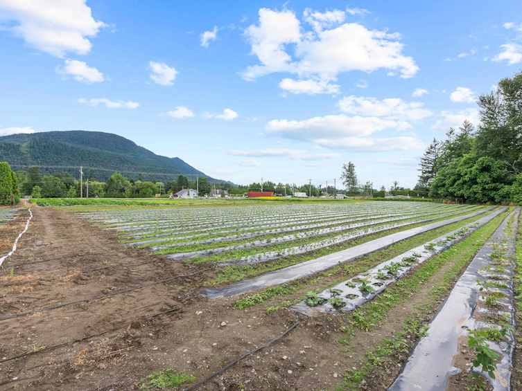 44081 Keith Wilson Road, Chilliwack, BC, V2R 4B5 - 34