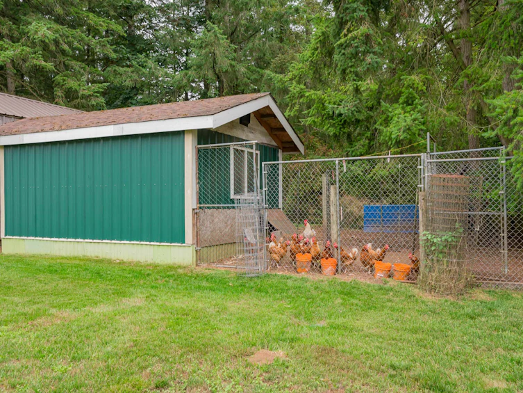 2572 204 Street, Langley, BC, V2Z 2B6 - 32