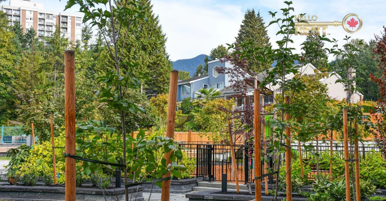 259-2035 Glenaire Drive, North Vancouver, BC, V7P 1Y3 - 30