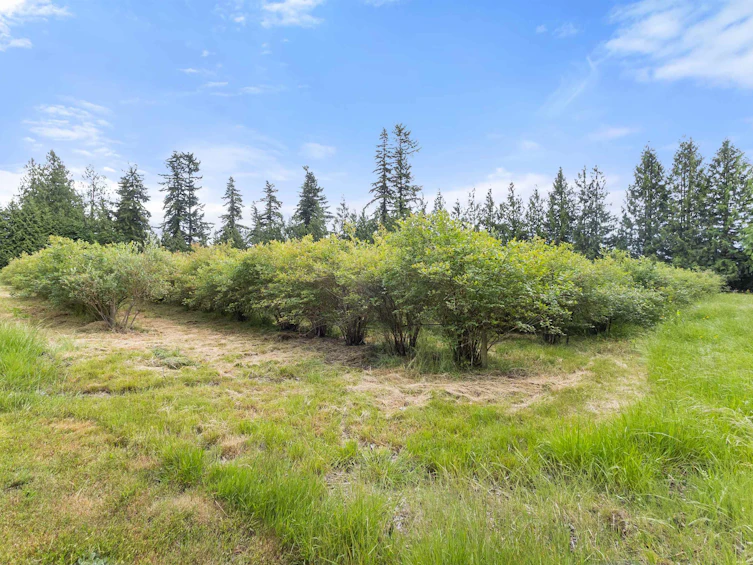 1446 Townline Road, Abbotsford, BC, V2T 6E1 - 38