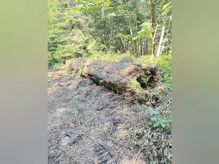 Lot D Elphinstone Crossing, Gibsons, BC, V0N 1V9 - 12