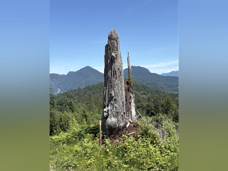 Lot D Elphinstone Crossing, Gibsons, BC, V0N 1V9 - 18