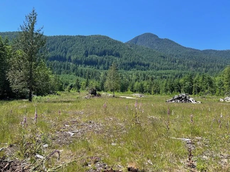 Lot D Elphinstone Crossing, Gibsons, BC, V0N 1V9 - 3