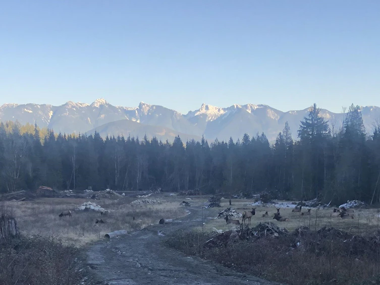 Lot D Elphinstone Crossing, Gibsons, BC, V0N 1V9 - 16