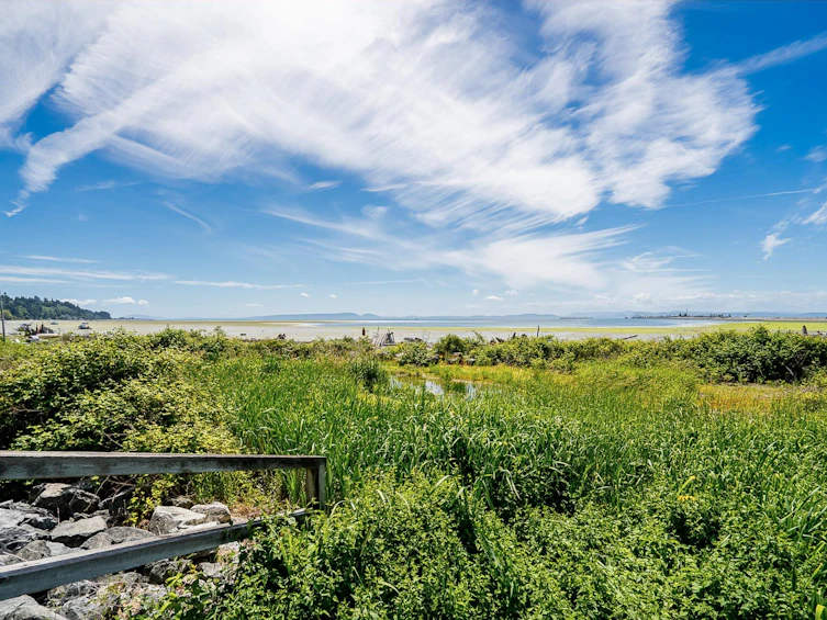 318-1120 Tsatsu Shores Drive, Delta, BC, V4M 4G3 - 27