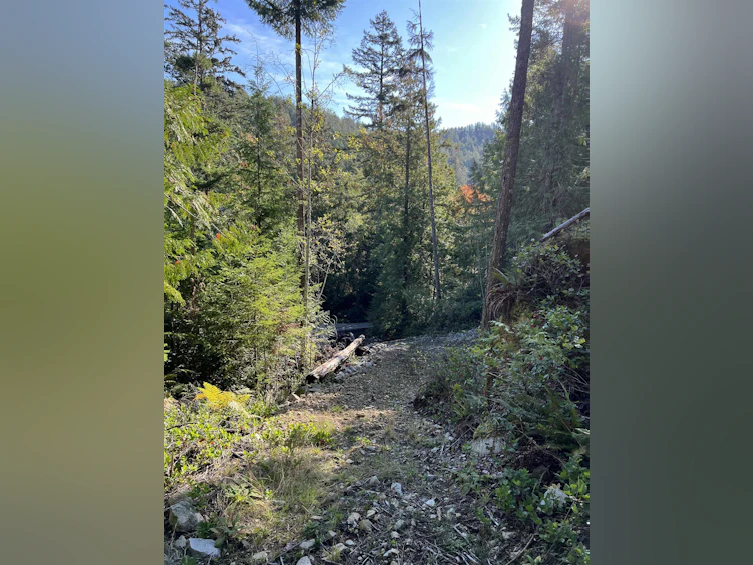 13607 Lee Road, Pender Harbour Egmont, BC, V0N 1S1 - 5