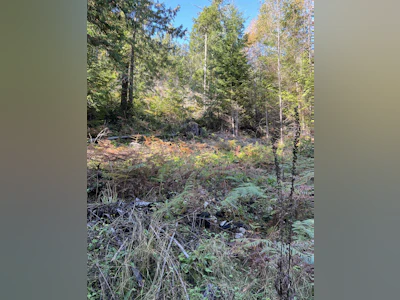 13623 Lee Road - 4