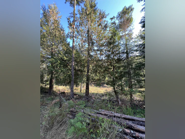 13623 Lee Road, Pender Harbour Egmont, BC, V0N 1S1 - 5