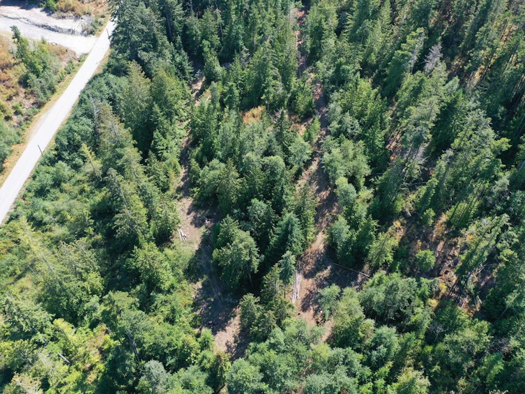 13645 Lee Road, Pender Harbour Egmont, BC, V0N 1S1 - 14