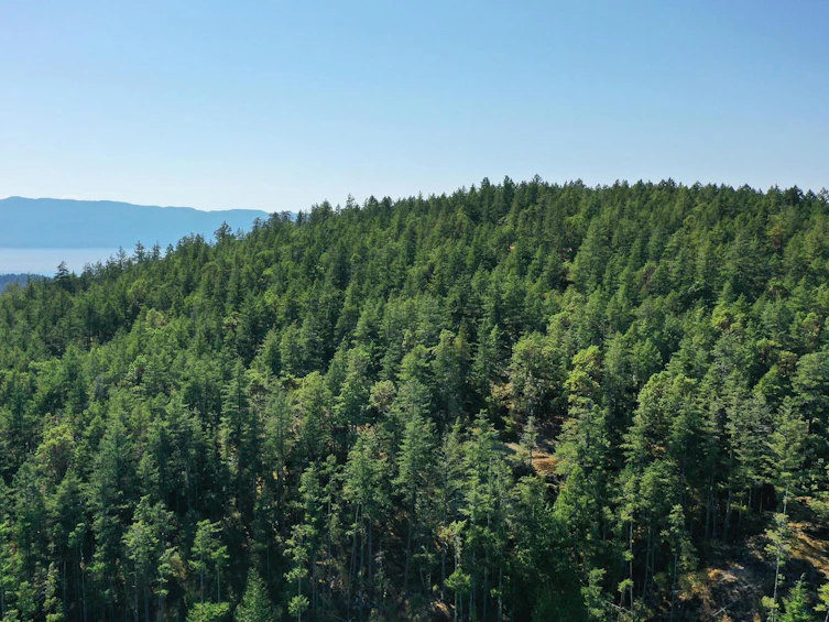 13645 Lee Road, Pender Harbour Egmont, BC, V0N 1S1 - 13