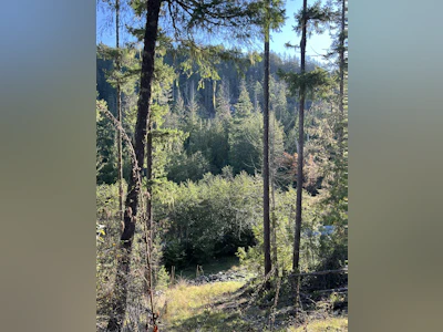 13830 Sakinaw Drive - 4