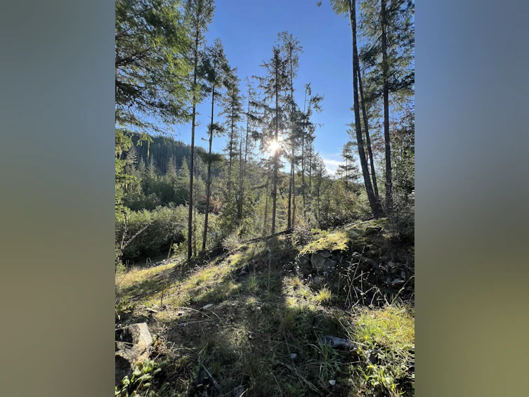 13830 Sakinaw Drive, Pender Harbour Egmont, BC, V0N 1S1