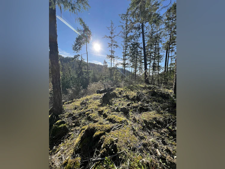 13808 Sakinaw Drive, Pender Harbour Egmont, BC, V0N 1S1