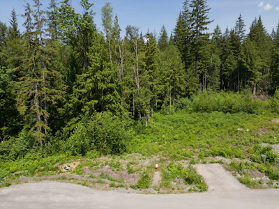 27031 124b Avenue - 3