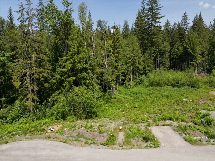 27031 124b Avenue, Maple Ridge, BC, V2W 1C2 - 3