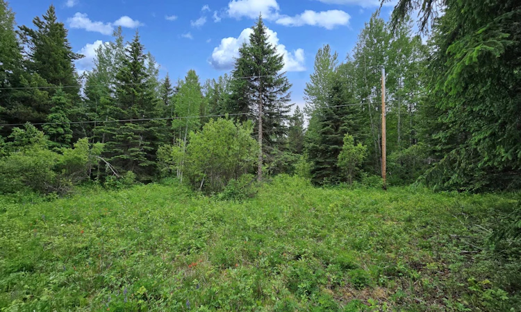 Lot 9-DL8982 Day Road