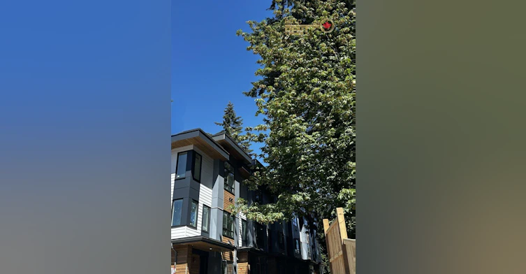 109-938 Lytton Street, North Vancouver, BC, V7H 2T1 - 3