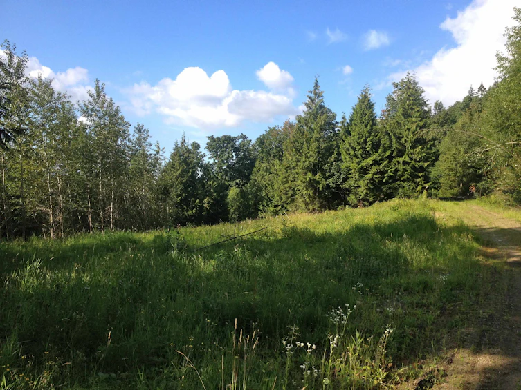41320 Old Yale Road, Abbotsford, BC, V3G 2S9 - 3