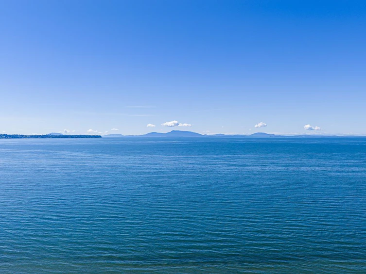 13289 12b Avenue, Surrey, BC, V4A 1C2 - 36
