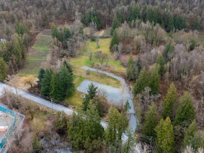 4165 Sumas Mountain Road - 3