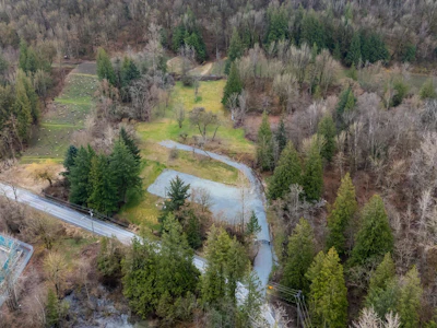 4165 Sumas Mountain Road - 2