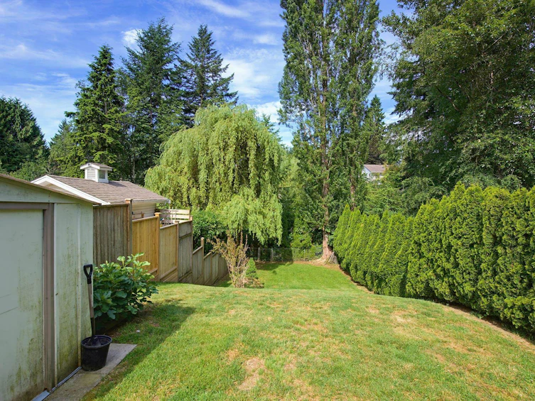 7957 Burdock Street, Mission, BC, V2V 4Y5 - 36