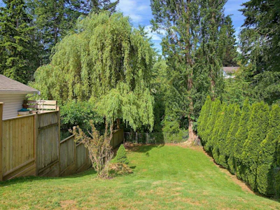7957 Burdock Street - 3