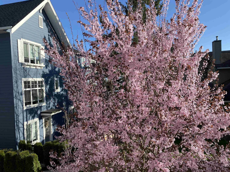 26-16337 15 Avenue, Surrey, BC, V4A 0C3 - 26