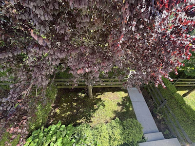 26-16337 15 Avenue - 3