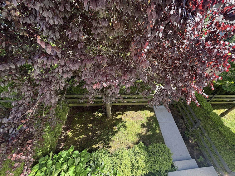 26-16337 15 Avenue, Surrey, BC, V4A 0C3 - 3