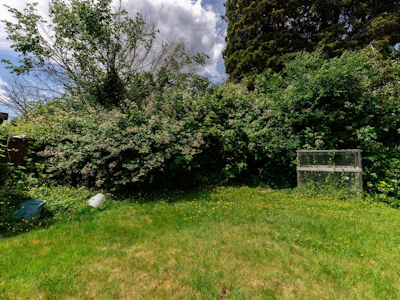 7465 Rosewood Street - 5