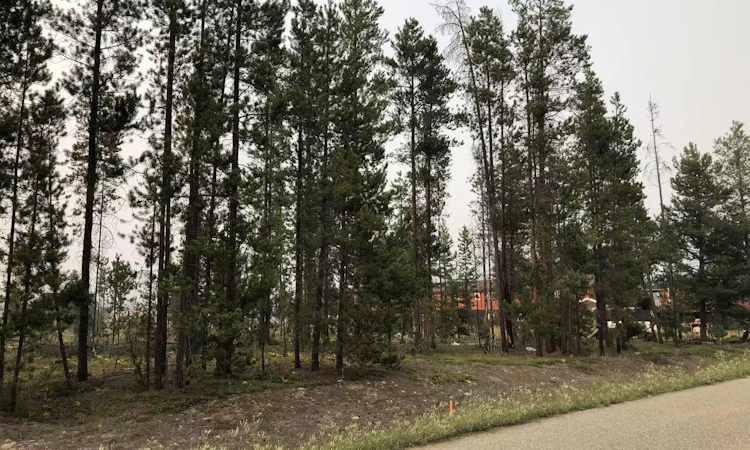 995 S Cranberry Lake Road
