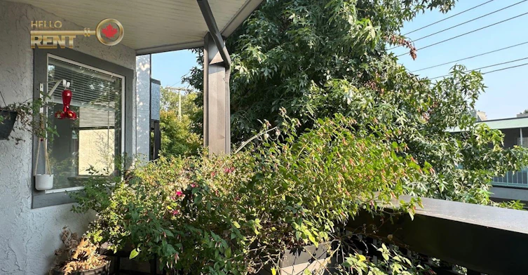 209-809 W 16th Street, North Vancouver, BC, V7P 1M6 - 17