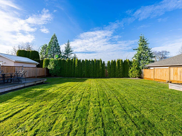 4633 222a Street, Langley, BC, V2Z 1M4 - 34
