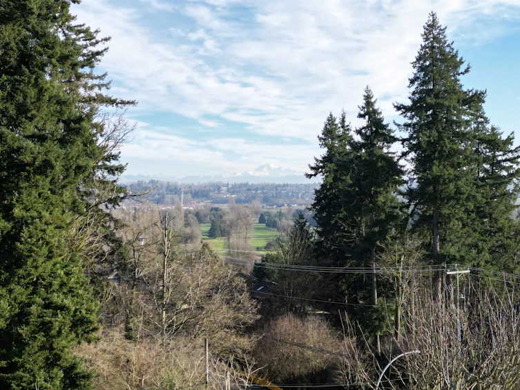 16657 78 Avenue, Surrey, BC, V4N 0L8 - 29