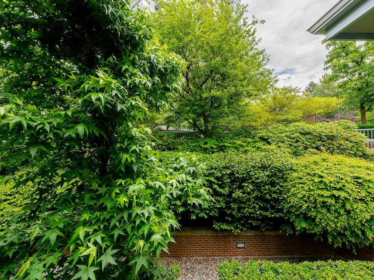 304-220 Newport Drive, Port Moody, BC, V3H 5B8 - 13