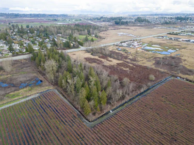15590 56 Avenue - 5