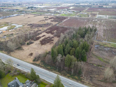 15590 56 Avenue - 3