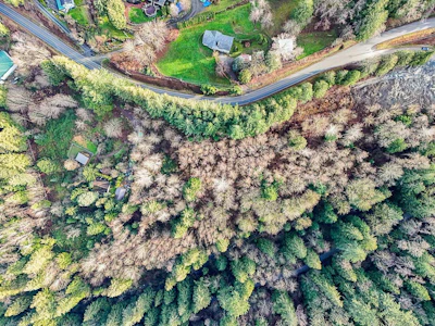 6183 Ryder Lake Road - 2