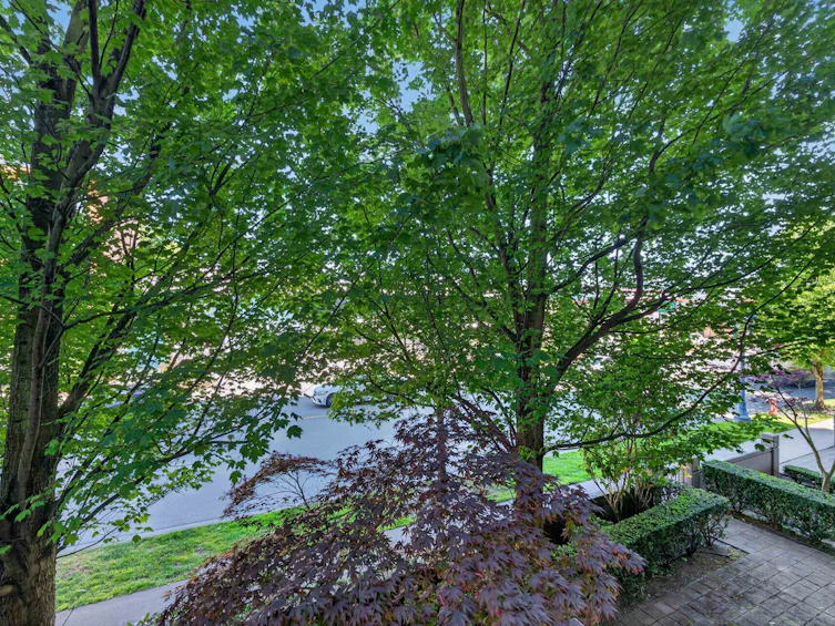 202-7362 Elmbridge Way, Richmond, BC, V6X 0A6 - 20
