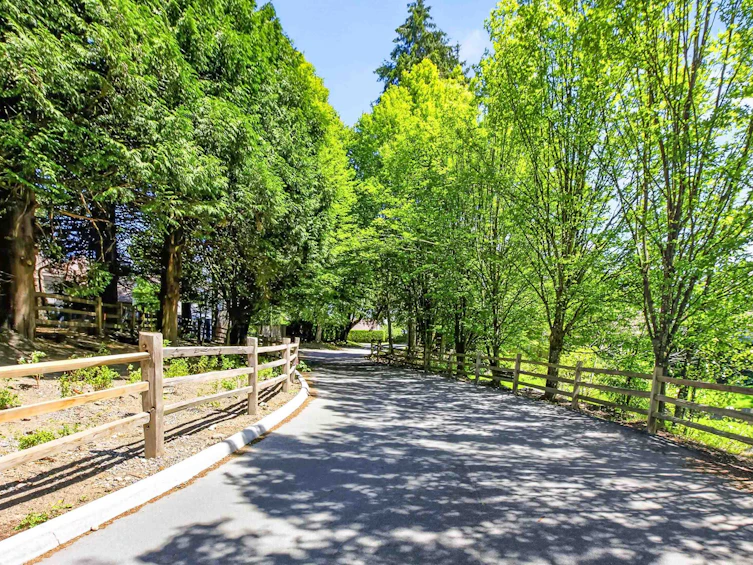 220-6220 Gooseberry Drive, Surrey, BC, V3S 0C7 - 31