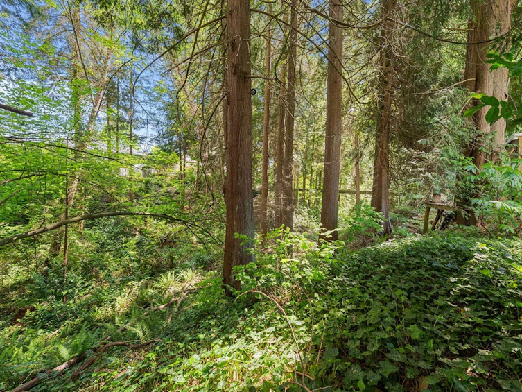 4368 Arundel Road, North Vancouver, BC, V7R 3T2 - 9