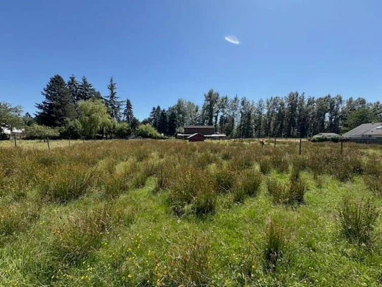 23315 122 Avenue, Maple Ridge, BC, V2X 3Y5 - 11