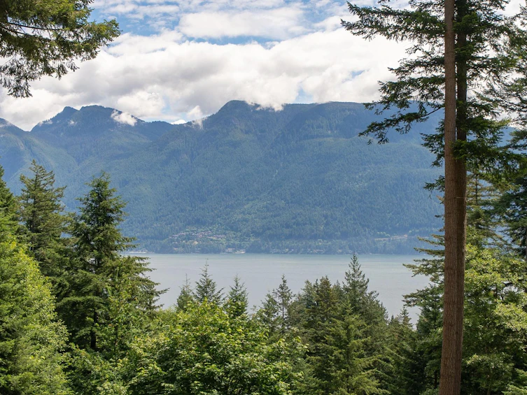 393 Creek Road, Bowen Island, BC, V0N 1G1
