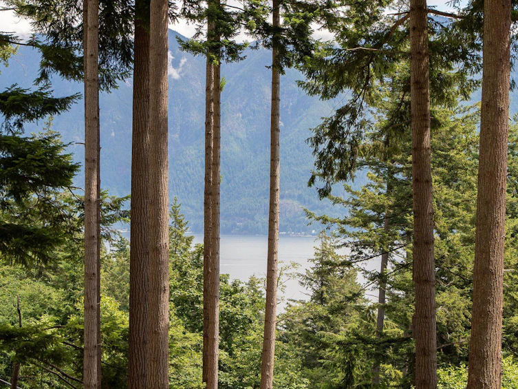 393 Creek Road, Bowen Island, BC, V0N 1G1 - 14