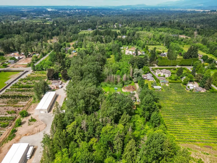 12478 248 Street, Maple Ridge, BC, V4R 1K1 - 9