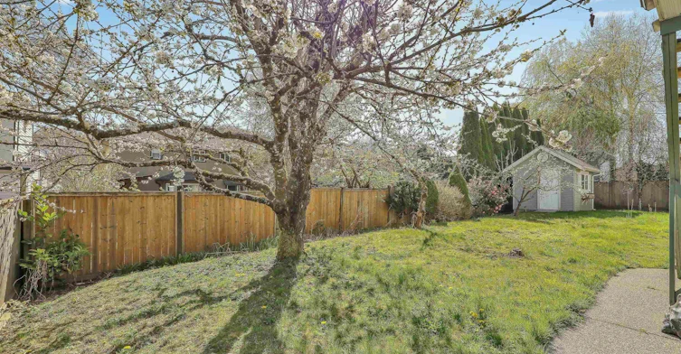 Upper-8546 164 Street, Surrey, BC, V4N 1E5 - 3