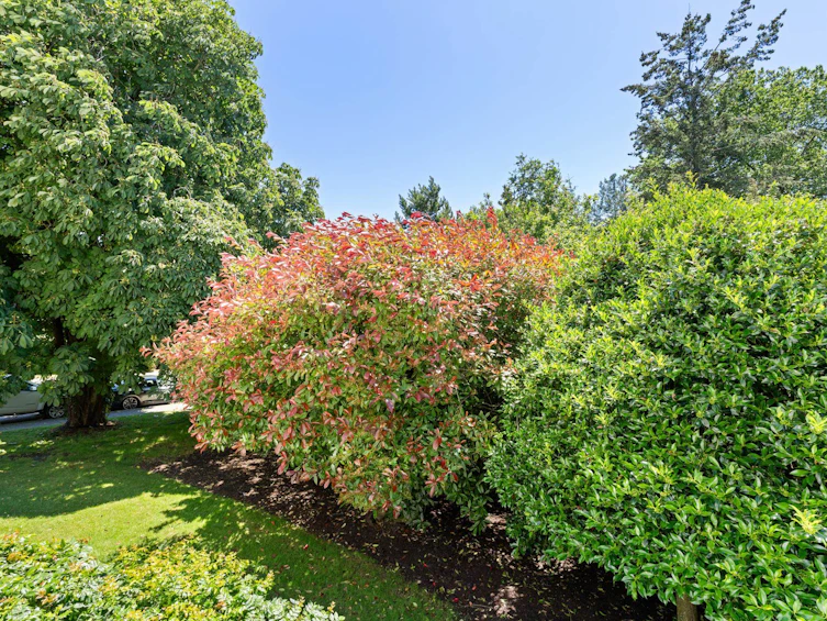 111-1341 George Street, Surrey, BC, V4B 4A1 - 20